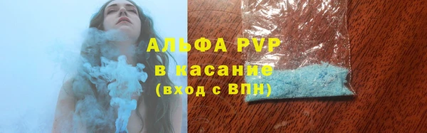 эйфоретик Пересвет