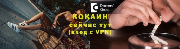 эйфоретик Пересвет