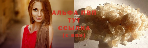 эйфоретик Пересвет