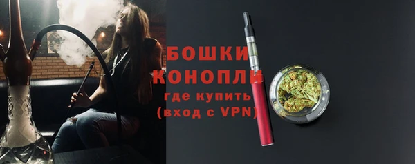 ECSTASY Пестово